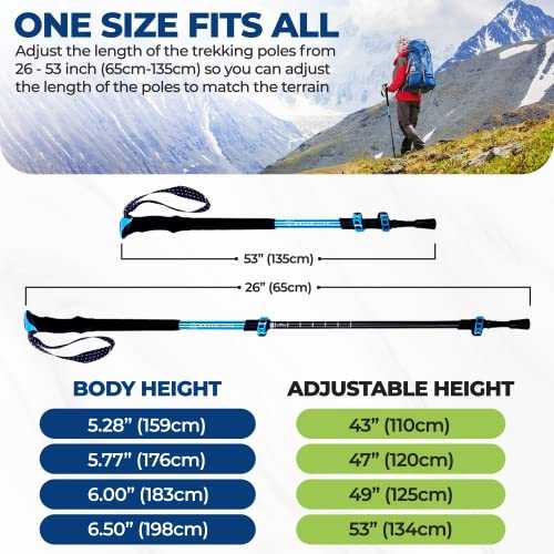 Collapsible Trekking Poles – Lightweight & Adjustable (Set of 2)